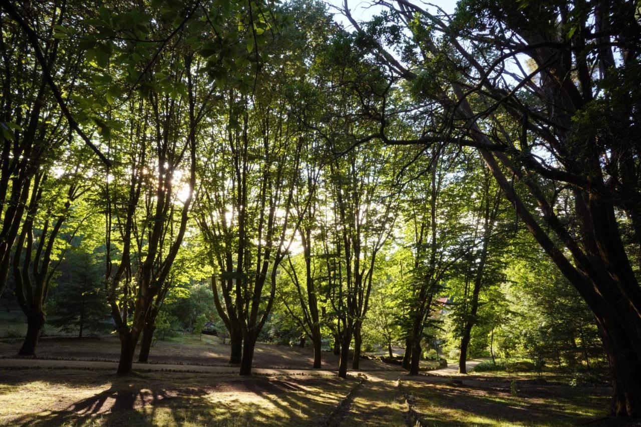 The Grove Houses Guimaraes Luaran gambar